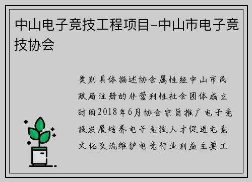 中山电子竞技工程项目-中山市电子竞技协会